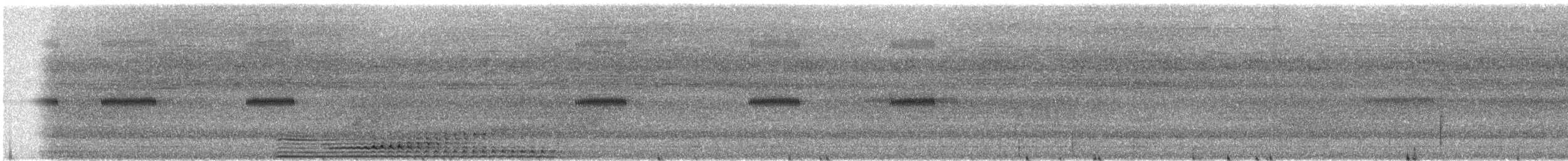 hammerovnhøne - ML609069752