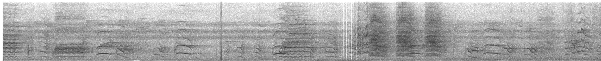 Olivbrust-Spatelschwanzpapagei - ML609069916