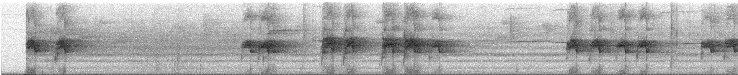 špaček bělokrký - ML609069967