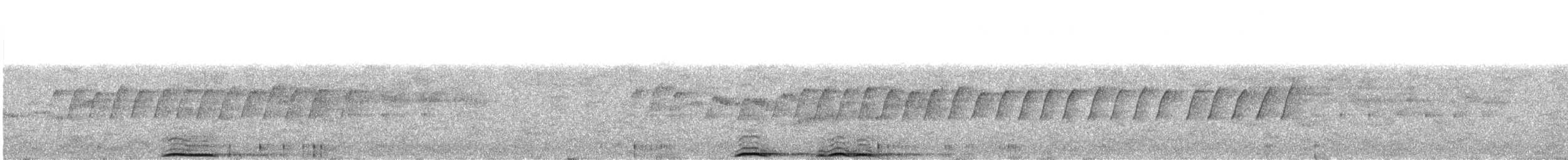 puštík bělavý (ssp. davidi) - ML609069968