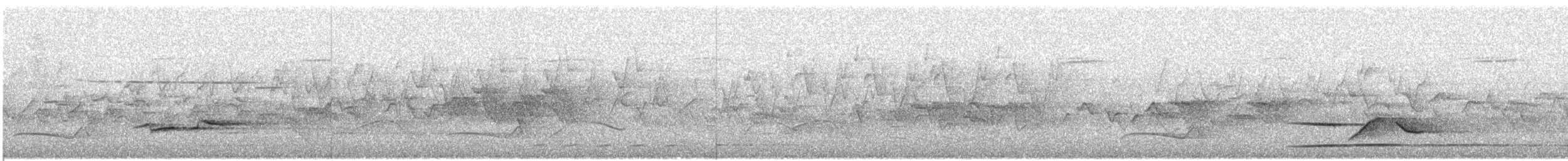 オグロコンヒタキ - ML609070051