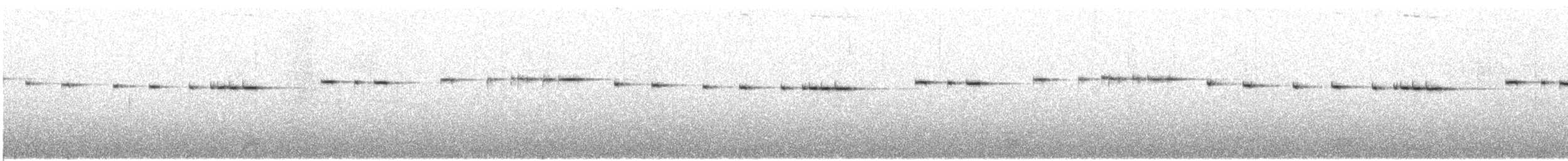 Spotted Elachura - ML609070177