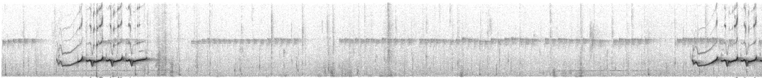 Bar-winged Wren-Babbler - ML609070180