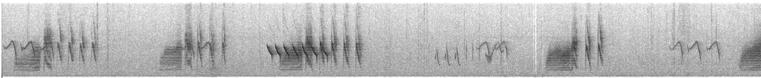 Chestnut-capped Babbler - ML609070198