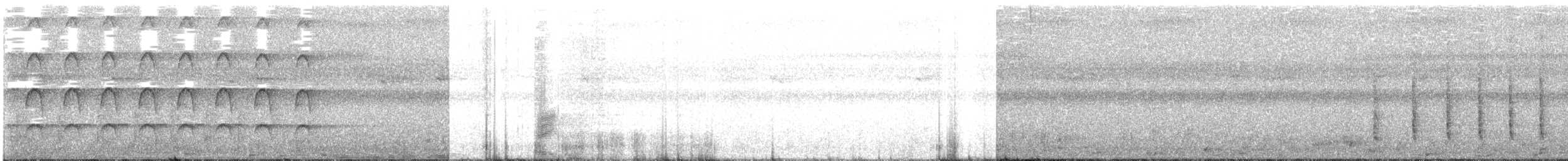 Яструб індонезійський (підвид sylvestris) - ML609070233