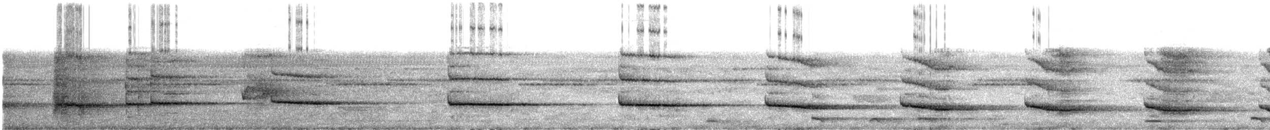 シロボシショウビン - ML609070245