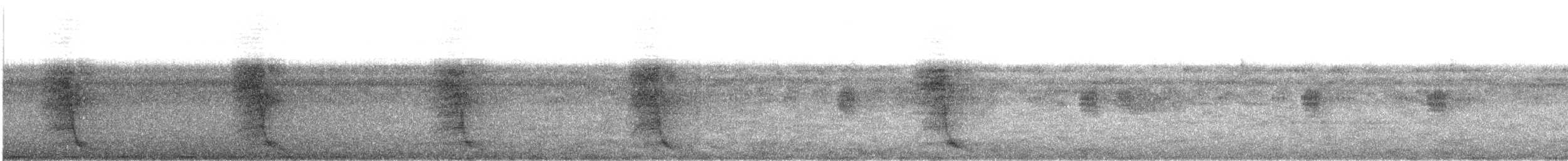 Coucal faisan (spilopterus) - ML609070295