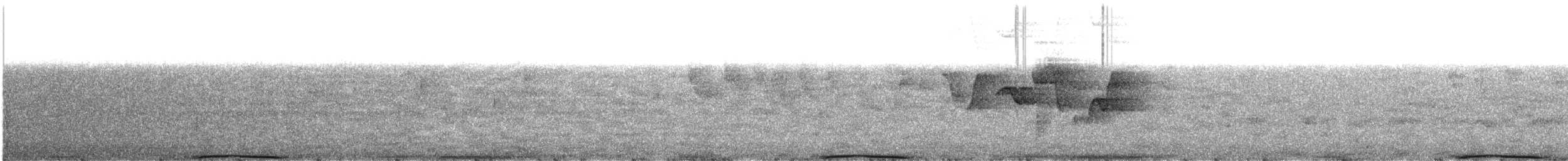 holub bělolící [skupina vitiensis] - ML609070312
