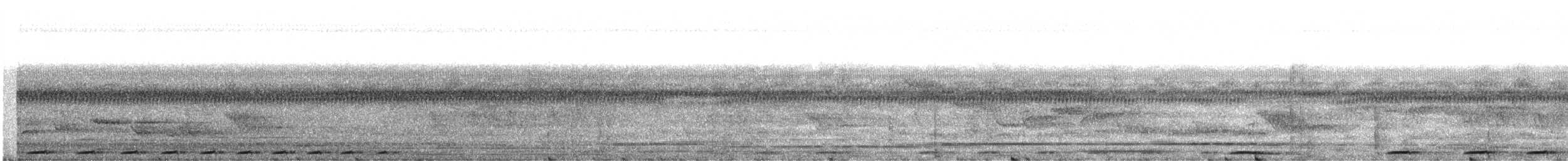 holub okrovohrdlý (ssp. nigrorum) - ML609070508