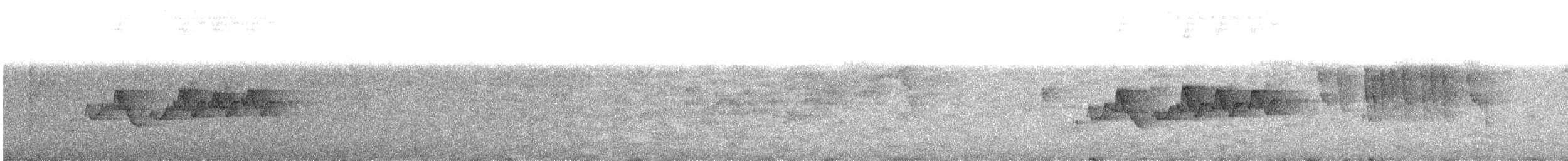Вівчарик новогвінейський (підвид ceramensis) - ML609070516