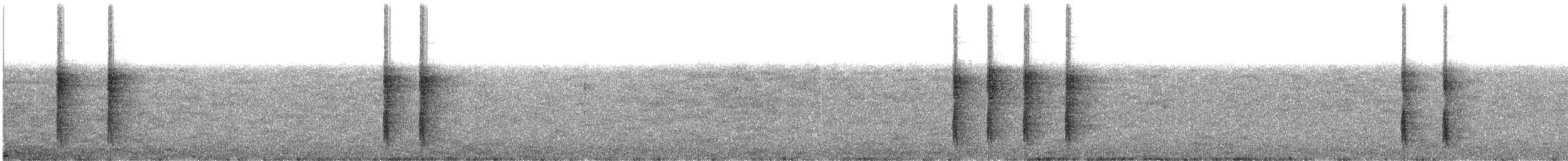Wallacean Island-Thrush (Schlegel's) - ML609070613