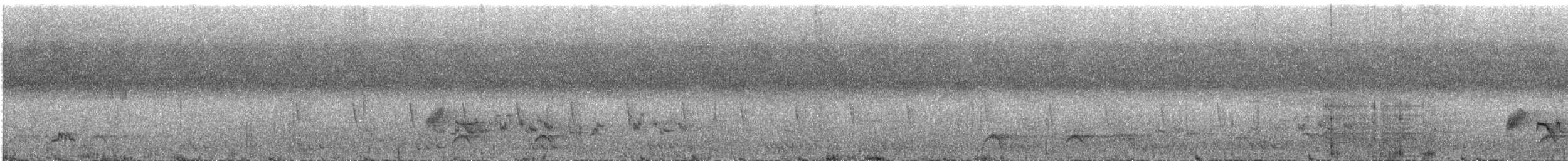 Western Hooded Pitta (Chestnut-crowned) - ML609070780