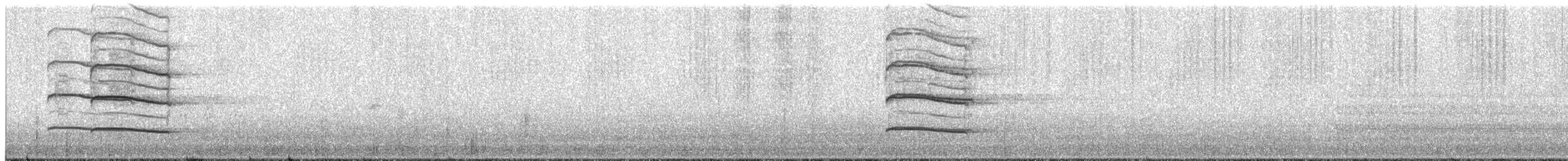 Kulaklı Orman Baykuşu (otus/canariensis) - ML609070953