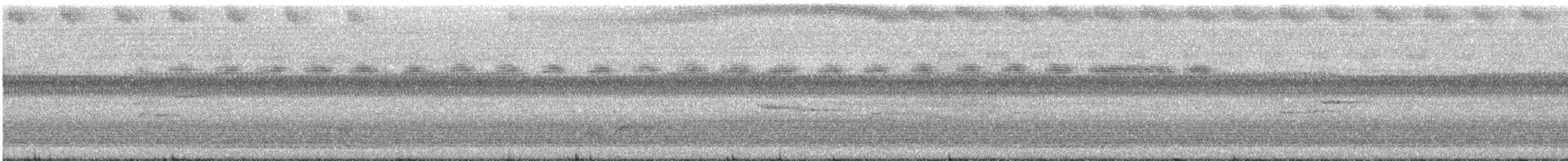 Rotohrspecht - ML609070975