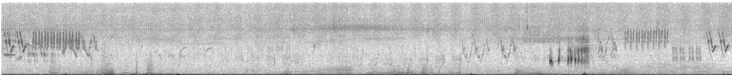 Galeper japoniarra - ML609071054