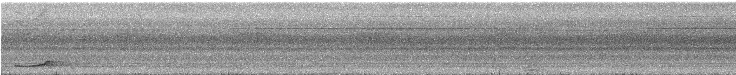 Blaunackenpitta - ML609071276