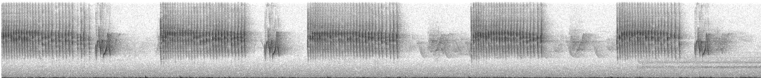 ミソサザイ（troglodytes グループ） - ML609071389