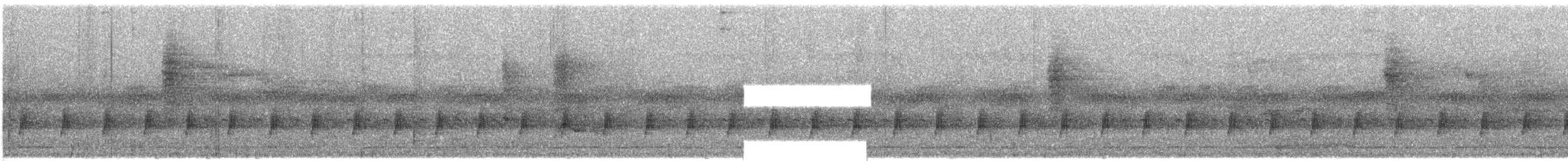 Нікорник сірий (підвид sclateri) - ML609071443
