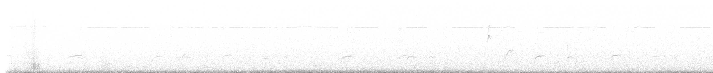 Дрізд-короткодзьоб Cвенсона - ML609074733