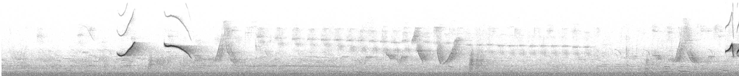 Пестрогорлая гевара - ML609083586
