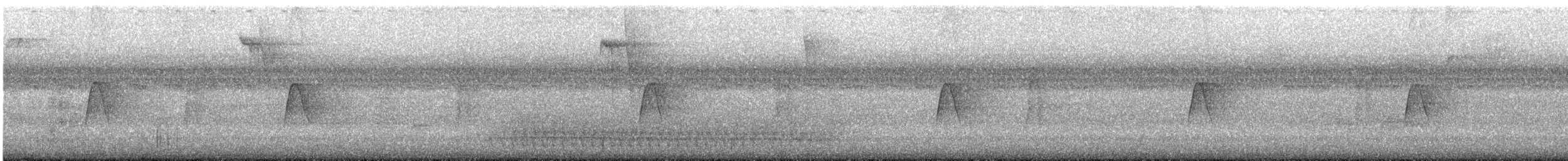 Buchenschnäppertyrann - ML609084821