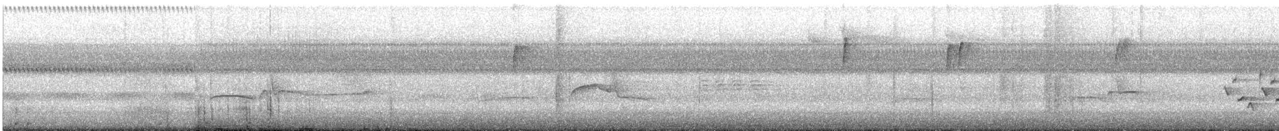 Hellbauch-Schnäppertyrann - ML609084876