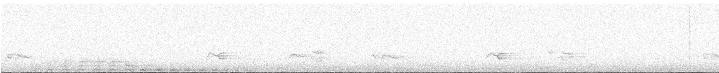 Merle austral (magellanicus/pembertoni) - ML609092651