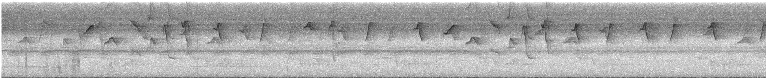 Пестрогорлый колибри-отшельник - ML609093734