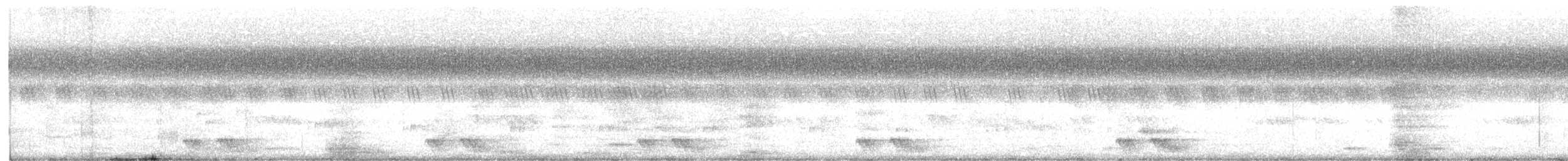 Philippinennachtschwalbe - ML609096717