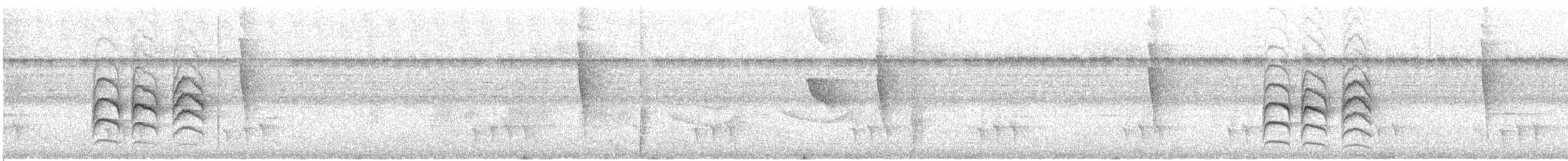 Band-tailed Antwren - ML609099061