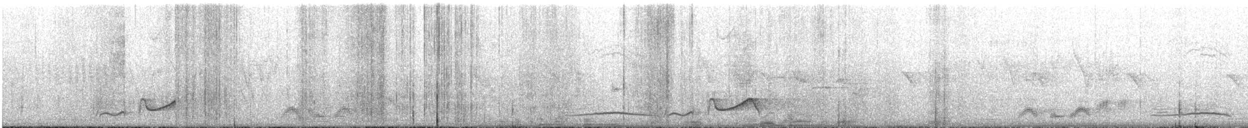 Silver-eared Laughingthrush - ML609099149