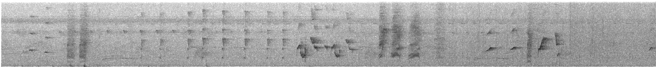 Palavan Drongosu - ML609099153