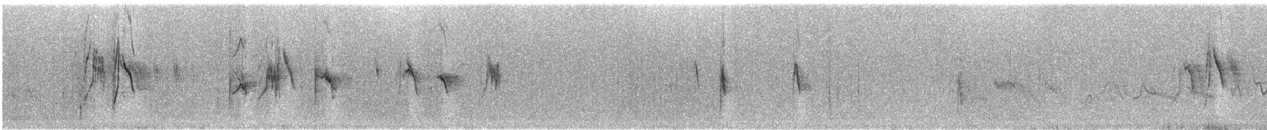 konipas luční (ssp. iberiae) - ML609099195