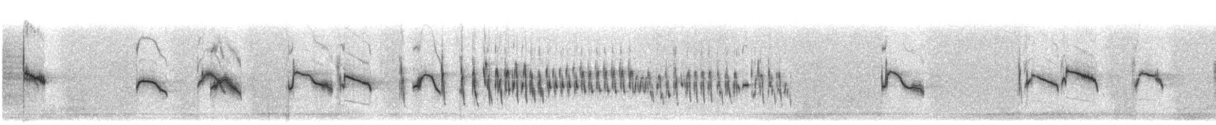 Txoriandre pispoleta mediterraneoa - ML609099241