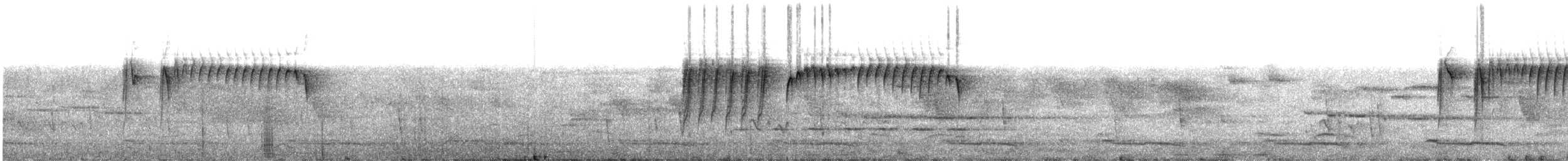 svartstrupesolfugl - ML609099257