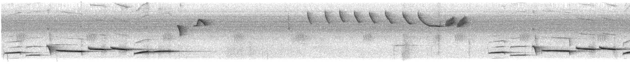 Spot-winged Thrush - ML609099549