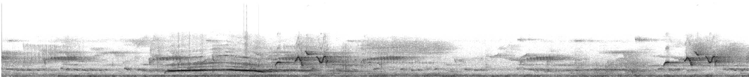 Кораловоклювая воронья кукушка - ML609099587
