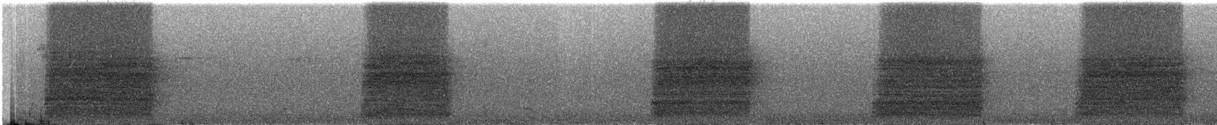 オウゴンニワシドリ - ML609099598