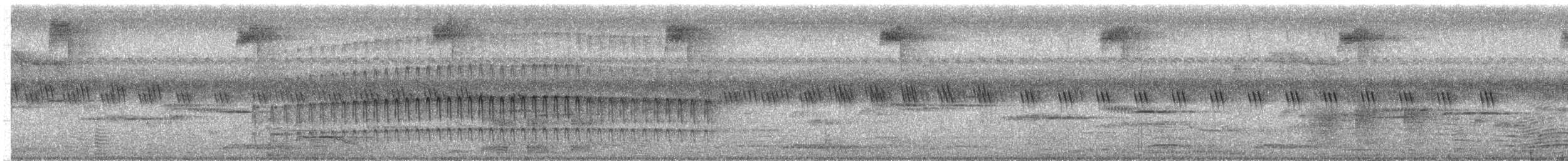 Сулуанский острокрылый дятел - ML609099623