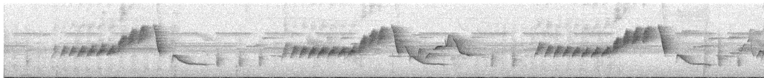 Black-breasted Boatbill - ML609099624