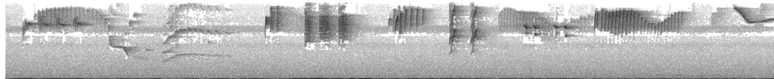 Enggano Thrush - ML609099682