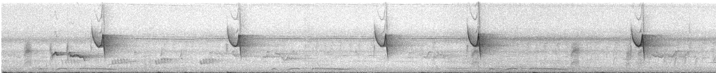 Brown Prinia - ML609099688