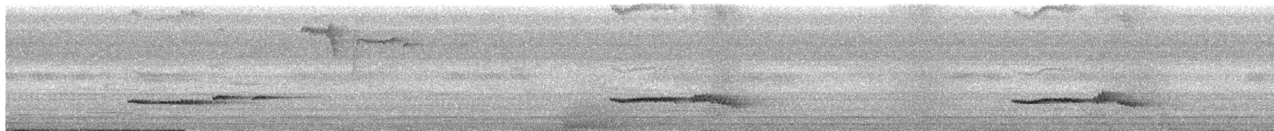 Ashy Thrush - ML609099696