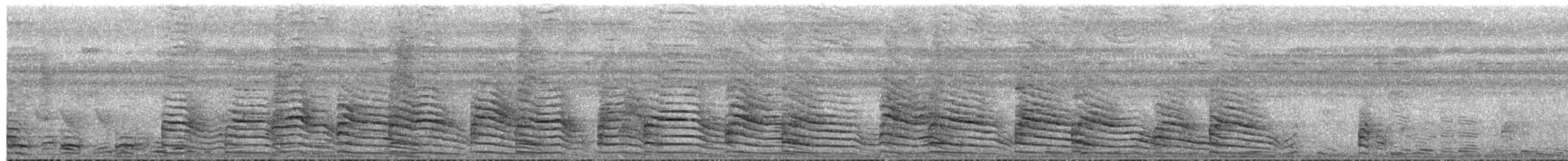 Pale-vented Bush-hen - ML609099703