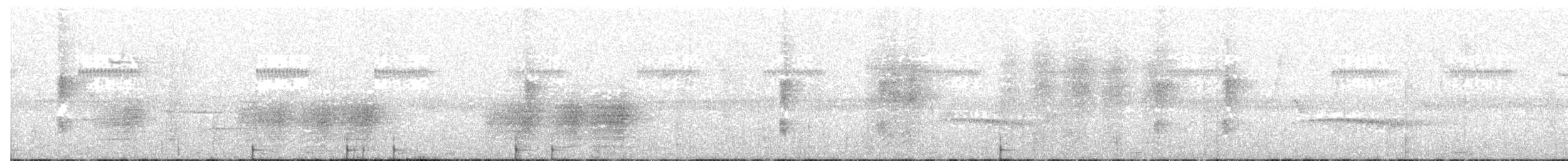 Black-breasted Boatbill - ML609099710