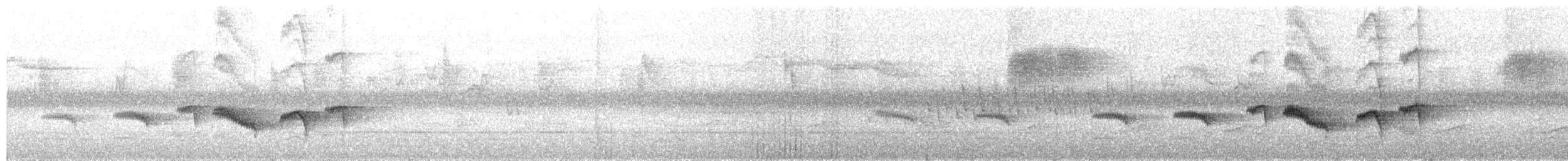 Palawan Striped-Babbler - ML609099714