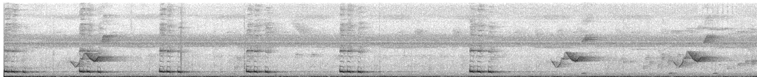 Lesser Coucal - ML609099750