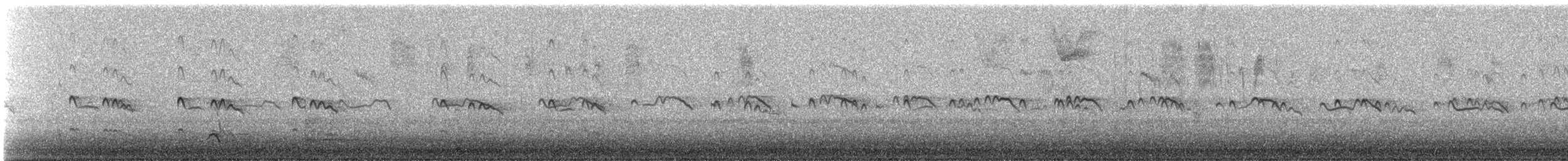 Pluvier kildir - ML609100044