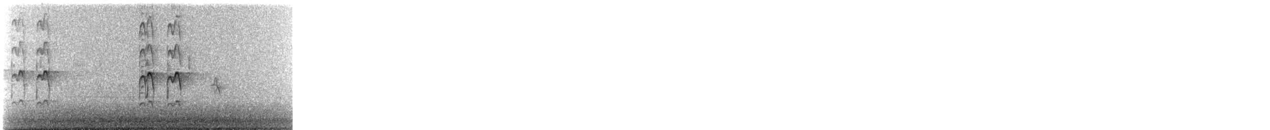 Crécerelle d'Amérique - ML609100087