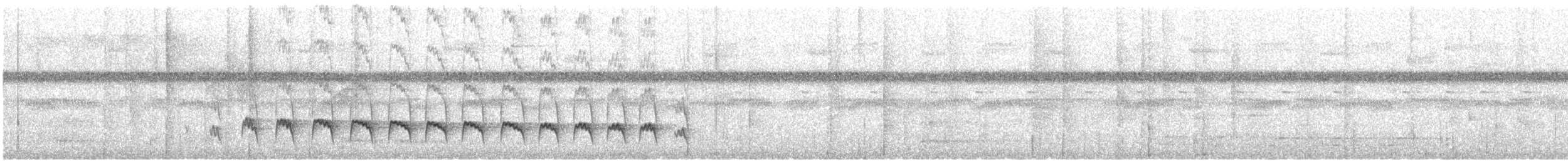 Weißflanken-Ameisenschlüpfer (luctuosa) - ML609100722